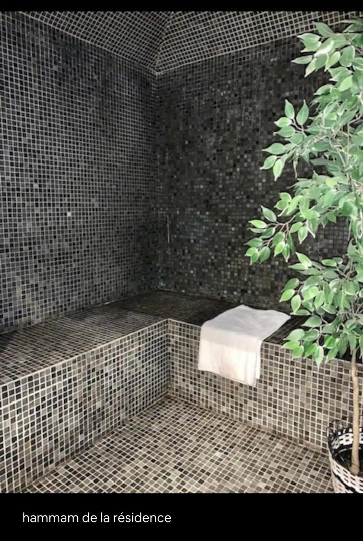 Appartements Avec Piscine Interieure Sauna Parking Etage 1 Au Centre Du Village Dans Residence Cami Real Saint-Lary-Soulan Exteriör bild